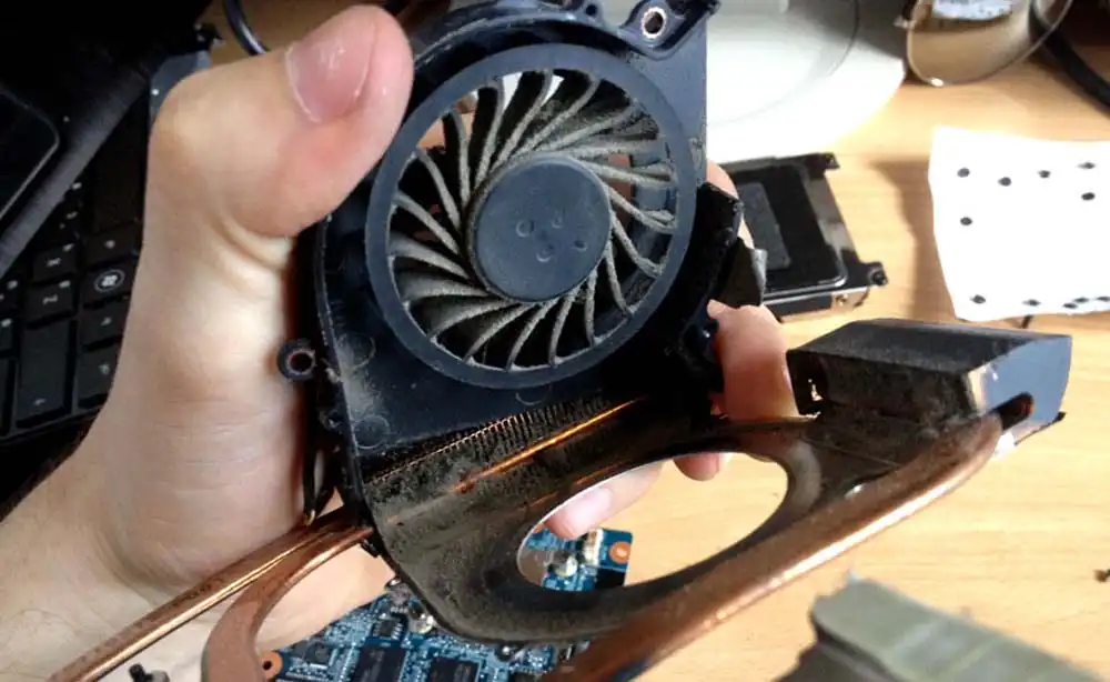 Чистка ноутбука HP от пыли в Санкт-Петербурге | Замена термопасты